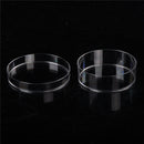 10Pcs Sterile Polystyrene Plastic Petri Dishes Plate With Lids 35x15mm B Ew