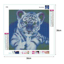 5D DIY Full Drill Square Diamond Painting Tiger Cross Stitch Embroidery Kit
