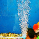 Aquarium Air Bubble Increaser Fish Tank Air Ball Pump New Hot Accessory Hot