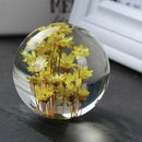 Silicone 100mm Sphere Ball Mould Mold + Real Dried Flower for DIY Ornament