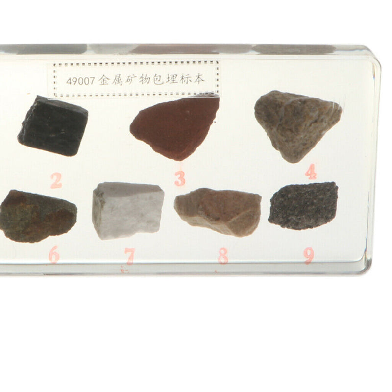 Real Rock And Mineral Geology Science Specimen Paperweight Collectible Gift