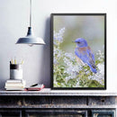 5D DIY Full Drill Diamond Painting Bird Embroidery Mosaic Craft Kits (w606)