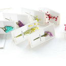 Dried Flowers Greeting Cards-Blank Note Cards Birthday Note Thank You Cards X1A2