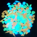 Colorful Conch Outdoor Shell Shaped Luminous Pebbles Glowing Stones