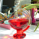 Glass Barometer Rain Shine Weather Forecast Bottle & Red Pigment DIY Decor