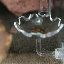 2 Pieces Fish & Aquatic Pets Aquarium Tank Shrimp Feeding Bowl Feeders Tray
