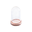 Glass Cover Micro Landscape Display Holder Terrarium Container 8cm*15cm