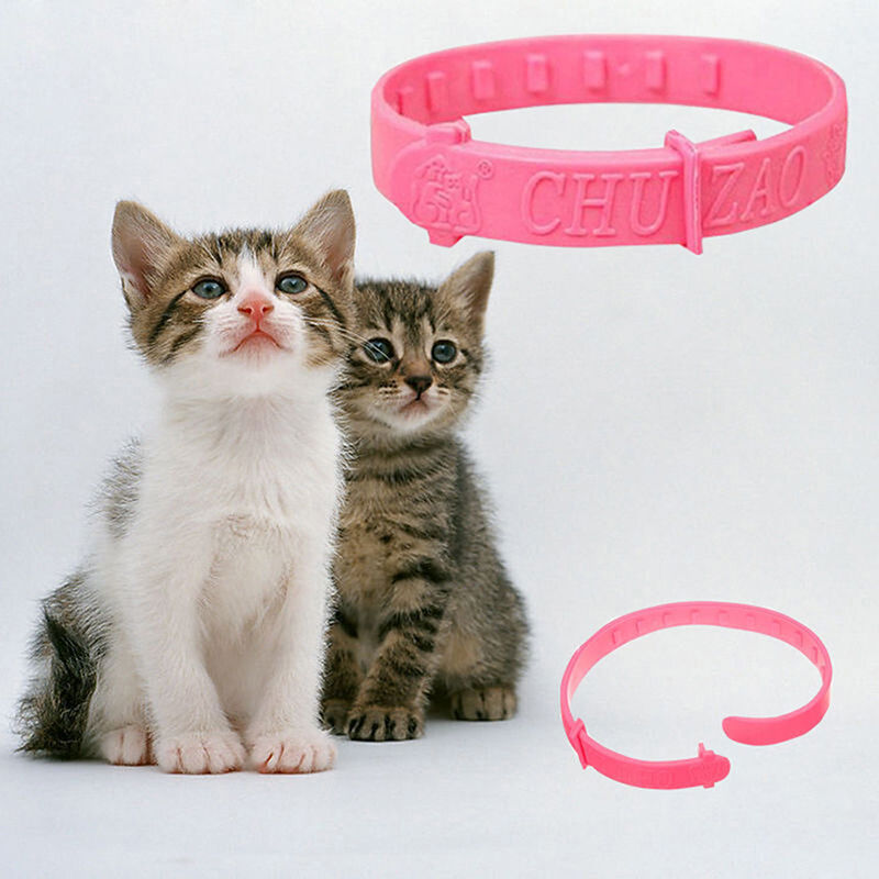 1X FLEA COLLAR Pet Cat Kitten Puppy Dog Adjustable Anti Tick Pest Control #