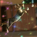 10 Pcs Clear Crystal Ball Prism Suncatcher Rainbow Pendants Rainbow Maker HaE8E4