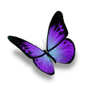 Round Diamond Painting Diy Diamond Embroidery Purple Butterfly Cross Stitch