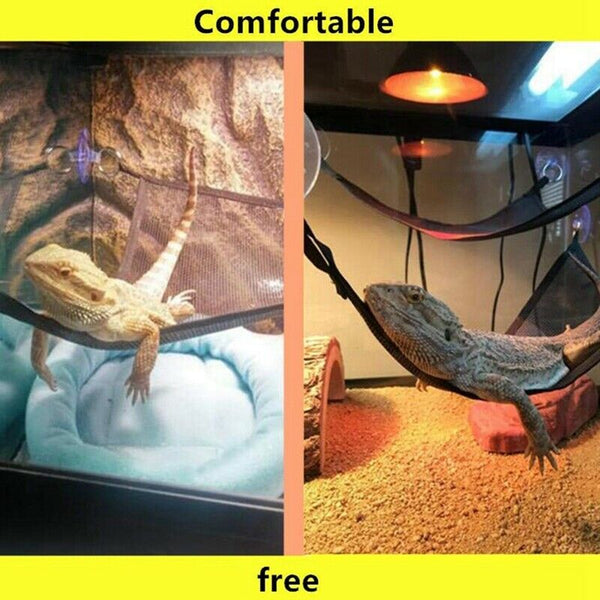 Reptile Hammock Lounger Ladder Accessories Set For Large Small Bearded Drag N9X6