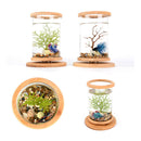 Multi-functional Desktop Decor,Bamboo Frame Clear Glass Aquarium / Glass Vase /