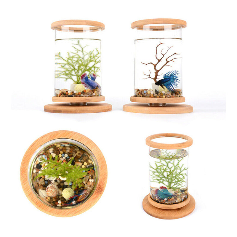 Multi-functional Desktop Decor,Bamboo Frame Clear Glass Aquarium / Glass Vase /