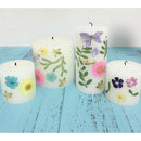 6x 6.5-7cm Pressed Water Grass Natural Dried Flowers DIY Scrapbooking Crafts