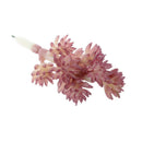 Artificial Foliage Succulent Sedum Hispanicu Plant Weddin Party Vivid Decor