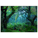 7X5ft Rainforest Vinyl Photography Background Customized Photography Backdr J3X5