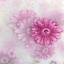 200x100cm Fuchsia Daisy Pattern Voile Tab Top Curtain Window Drapes Valances