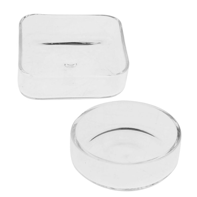 2 Pieces Shrimp Feed Plate Kitchen Accessories Comfortable Glass Material