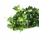 Artificial Ivy Garland Wedding Decor Decoration Ornament Q6A4