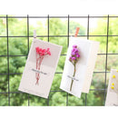 Dried Flowers Greeting Cards-Blank Note Cards Birthday Note Thank You Cards X1A2