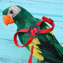 Parrot Leash Adjustable Harness Bird Anti Fly Outdoor Training Rope (Red)