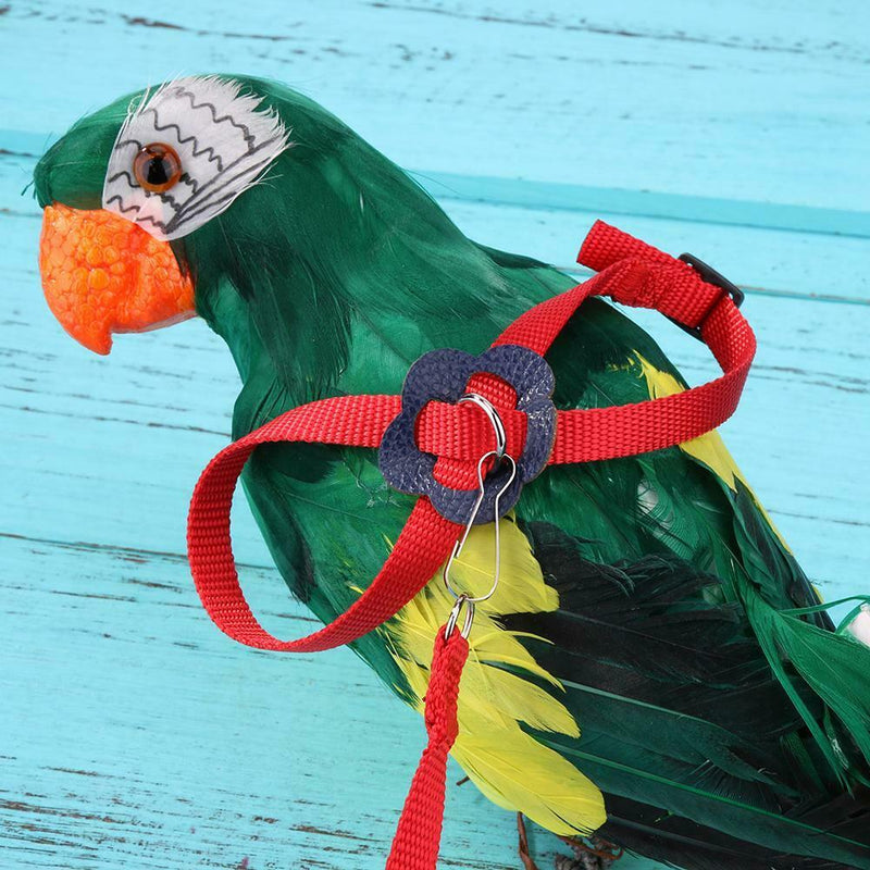 Parrot Leash Adjustable Harness Bird Anti Fly Outdoor Training Rope (Red)