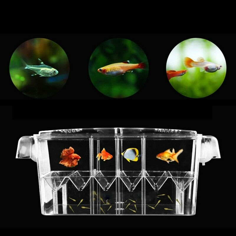 4 Rooms High Clear Fish Breeding Box Acrylic Aquarium Breeder Box Double Gu H9F3