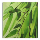 3Pcs Zen Bamboo Stone HD Picture Painting Modern Art Wall Decor Unframed Gr
