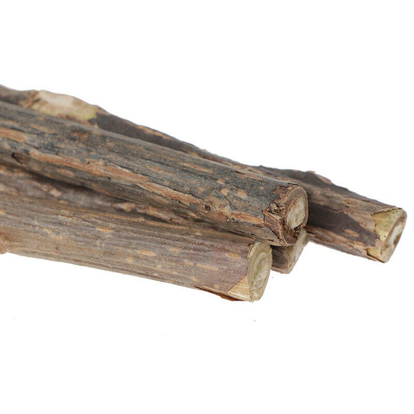 5x Cat Cleaning Teeth Pure Natural Catnip Stick Pet Molar Toothpaste Snacks JR