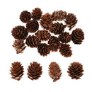 20PCS Natural Pine Cone Ornament Christmas Party Decoration Holiday Decor