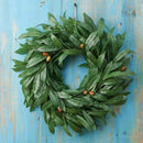 16 Inch Door Wreath Artificial Real Wicker Frame Faux Olive Leaves | UV Res X2Q9