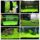 1000X Fish Aquarium Grass Seeds(Mixed)Water Aquatic Plant Home Fish Tank Supply