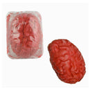 Halloween Human Brain Great Prop Decoration Realistic Bloody Blood D5Z4
