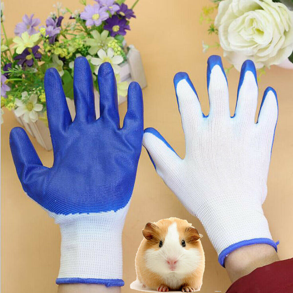 Safe Touch Small Animal Handling Rabbies Gloves for Birds Hedgehog and Hamster