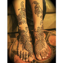 5pc dark black instant herbal henna cone temporary tattoo kit body LJ