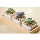 4 Pieces Wood Flower Pots Succulent Planter Trough Boxes Rustic Containers