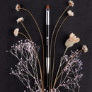 Ducare Brushes For Makeup Eyebrow Brush+Eyebrow Comb Spoolie Brush Eyebrow  Q7O5