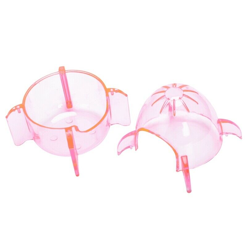 Gerbil Mouse 2 Entrance Holes Hamster House Cage Random