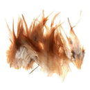 50x Rooster Feather DIY Decor Creative Jewelry Hats 10-15cm B1B1