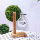Creative Transparent Water Planting Glass Vase With Wooden Stand Desktop De S6X8