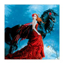 5D DIY Full Drill Diamond Painting Horse Cross Stitch Embroidery Mosaic Kit A