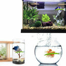 2 Pack Betta Hammock, Betta Fish Leaf Pad, Plastic Aquarium Plants With Suc M3J5