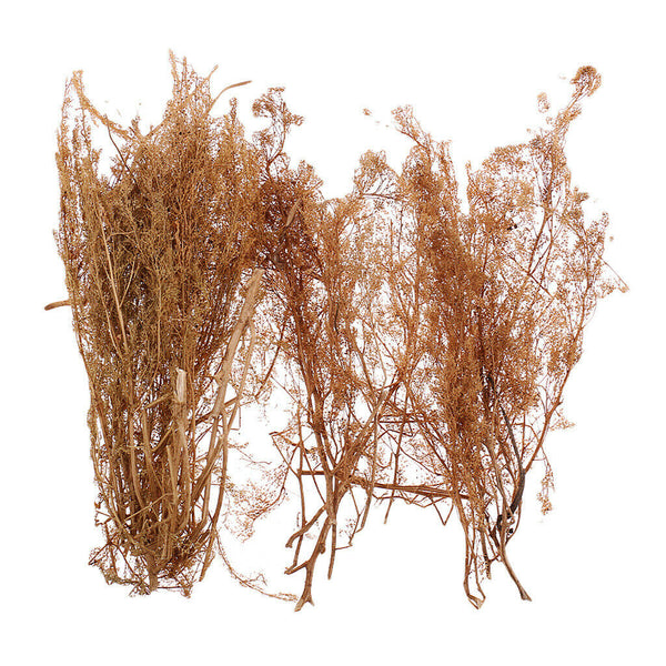 Layout Dry Natural Quinoa Models DIY Landscape For RR Train Diorama Scenery