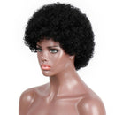 Brazilian Short Kinky Curly Afro Wigs For Black Women Hair Wigs For African E2X4
