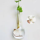 Hanging Clear Home Glass Wall Mounted Hanging Vase Bottle Plant Flower