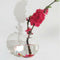 8 x Wall Mounted Transparent Glass Hydroponic Vase Terrarium Container - Ball -