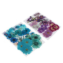 1 Set Natural Real Dried Flowers Card Making Album Frame Decor 2.5-3.5cm