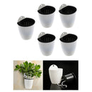 5 Pack Sturdy Self-watering Wall Hanging Flower Pot Vase Indoor Outdoor