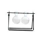 Hanging Flower vase Hydroponic Terrarium With Black Iron Stand 2 Beakers C