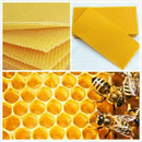 5Pcs Beekeeping Honeycomb Foundation Wax Frames Honey Hive Equipment Tool Set